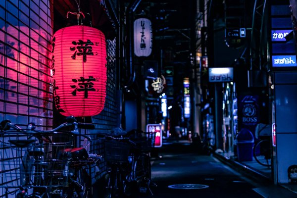 Quelle est la meilleure manière d'introduire le cinéma d'animation japonais à un public non initié?